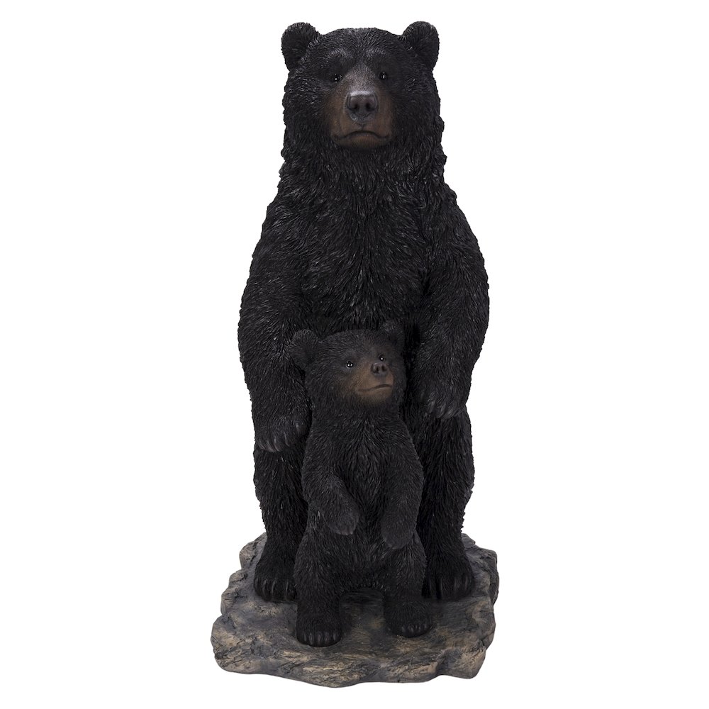 Standing Mother & Baby Black Bears. Picture 2