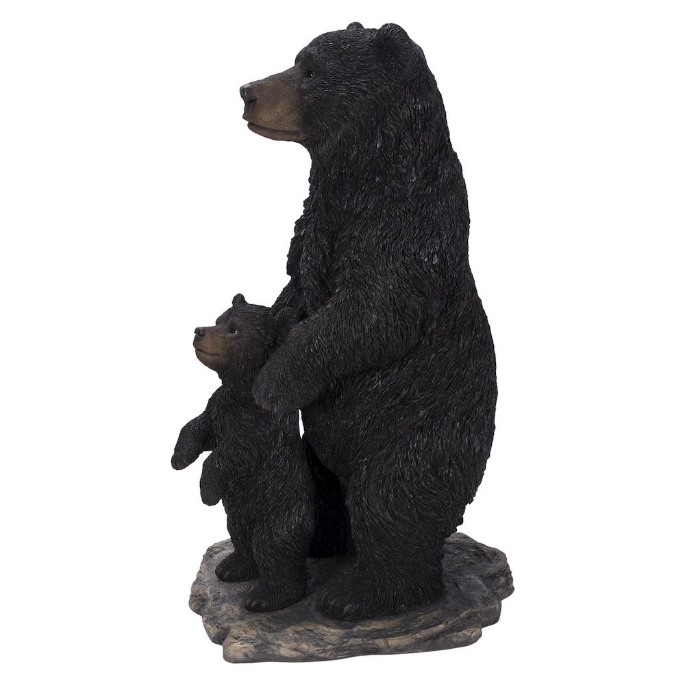 Standing Mother & Baby Black Bears. Picture 1