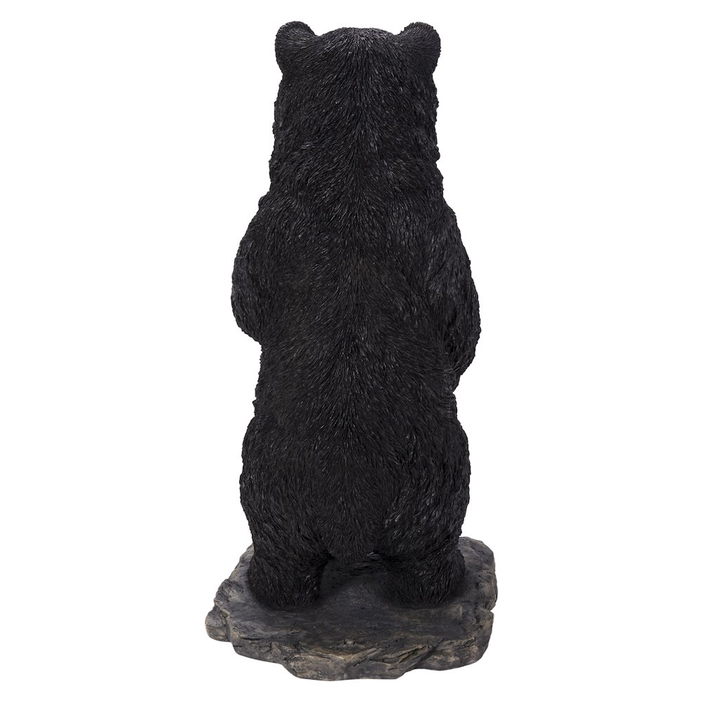 Standing Mother & Baby Black Bears. Picture 4