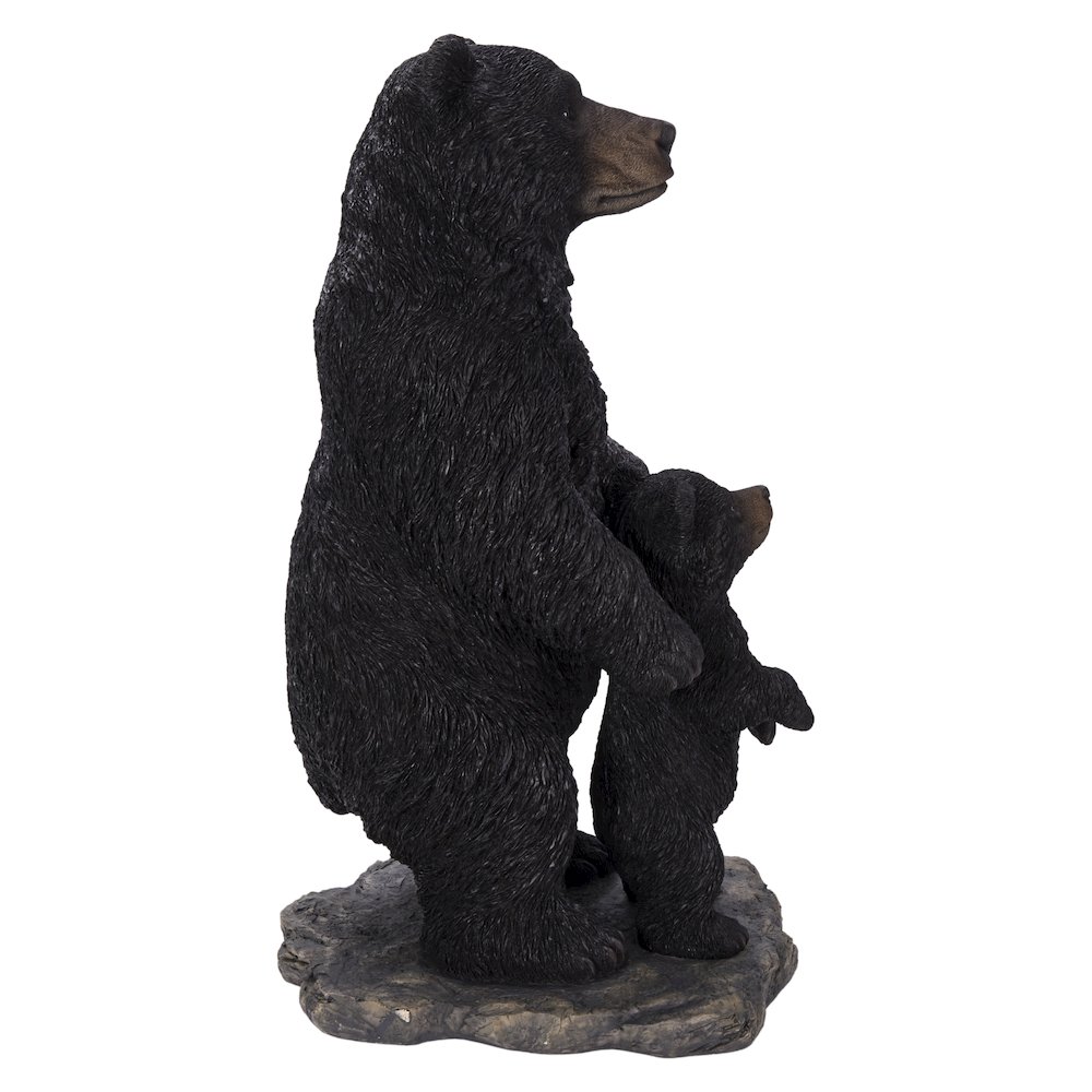 Standing Mother & Baby Black Bears. Picture 3