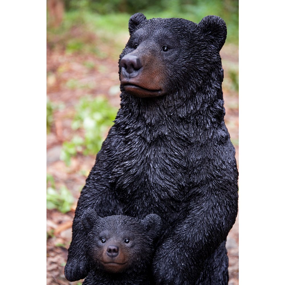 Standing Mother & Baby Black Bears. Picture 6