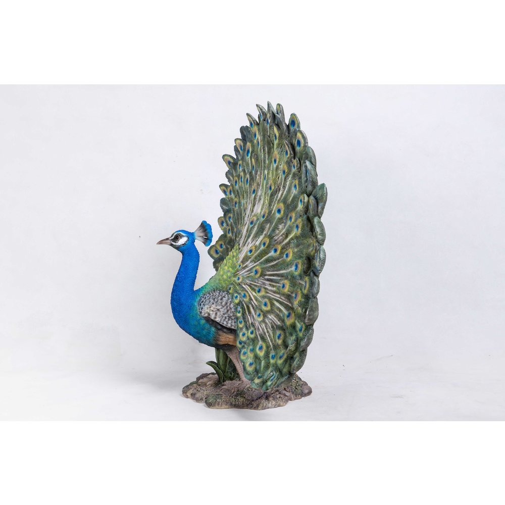 Peacock W/Feathers Out Statue. Picture 3