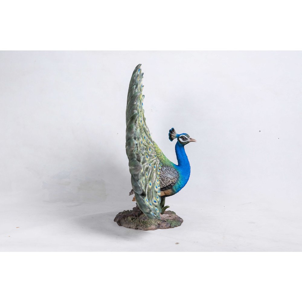 Peacock W/Feathers Out Statue. Picture 1