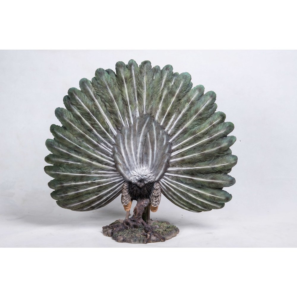 Peacock W/Feathers Out Statue. Picture 4