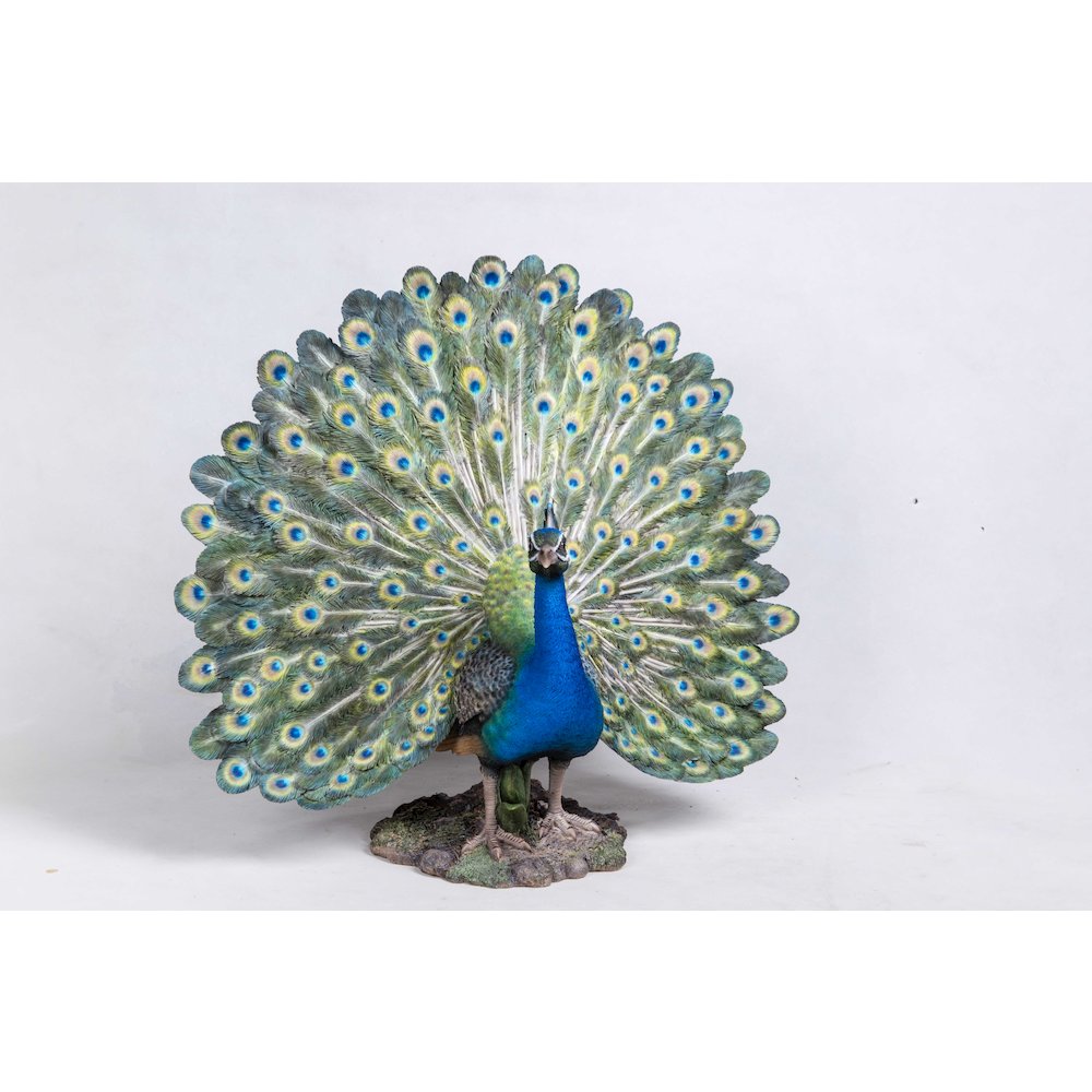 Peacock W/Feathers Out Statue. Picture 2