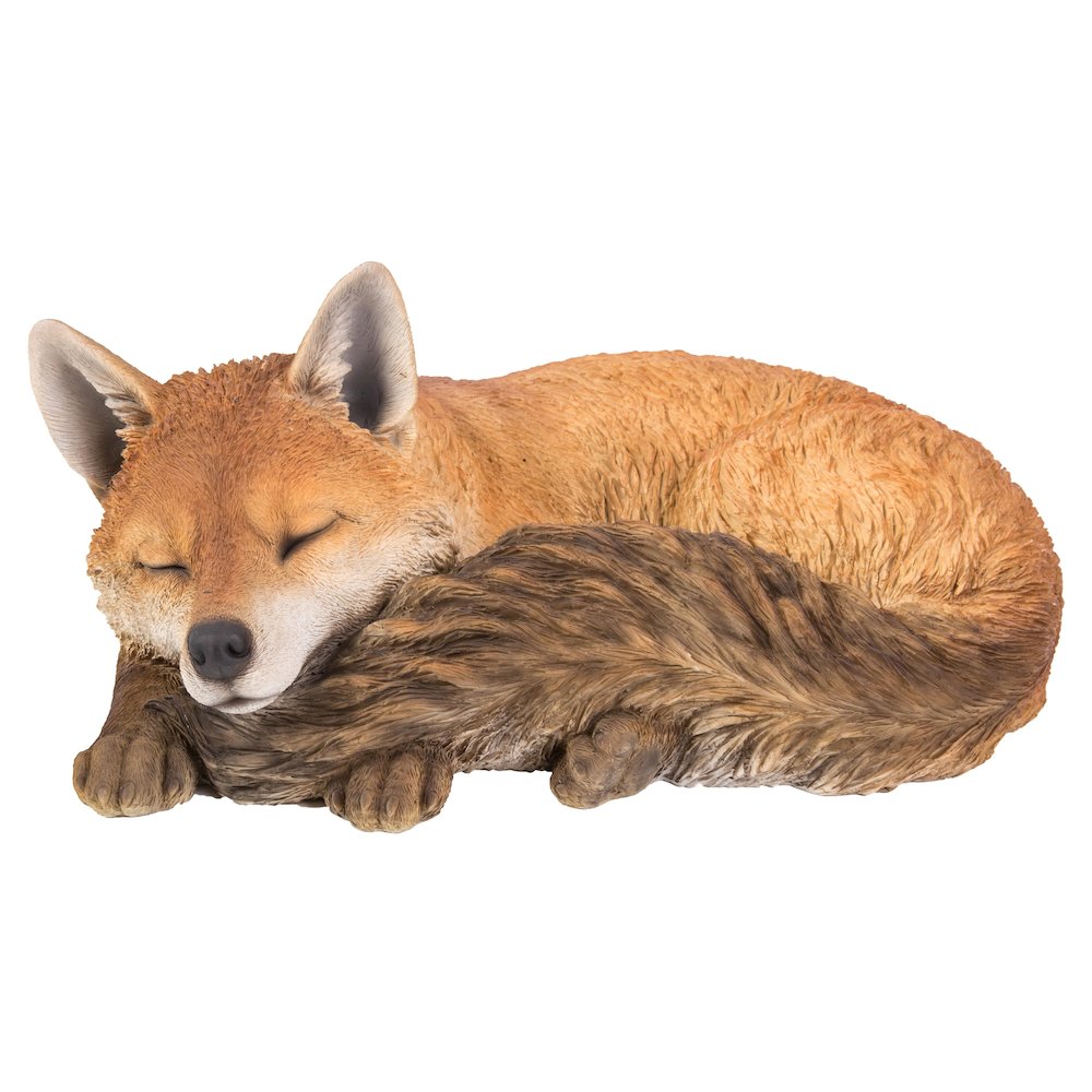 Fox Sleeping. Picture 2