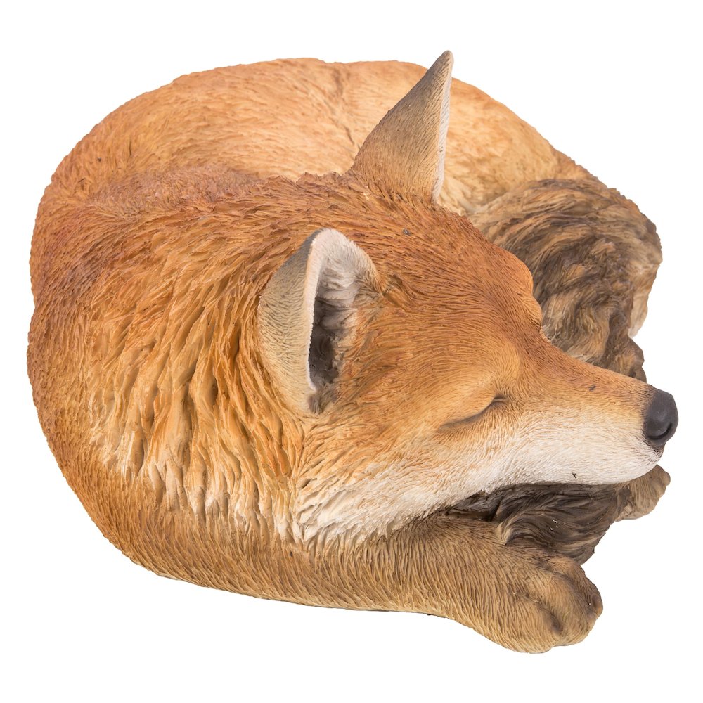 Fox Sleeping. Picture 3