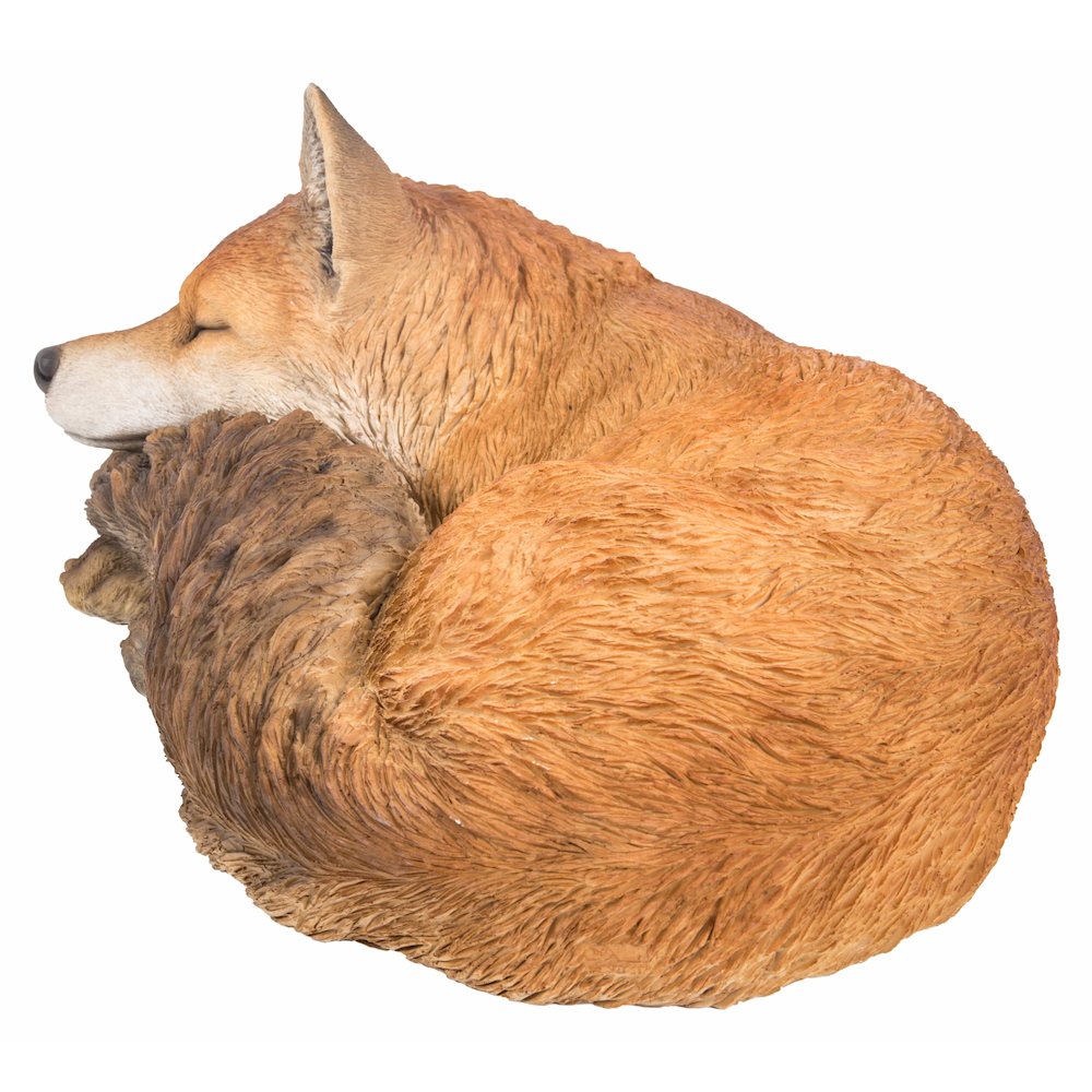 Fox Sleeping. Picture 1