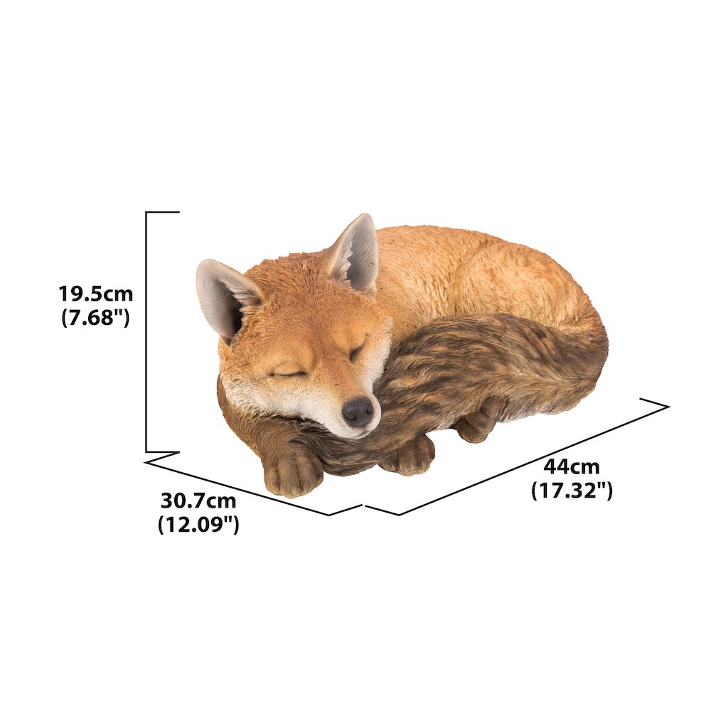 Fox Sleeping. Picture 4