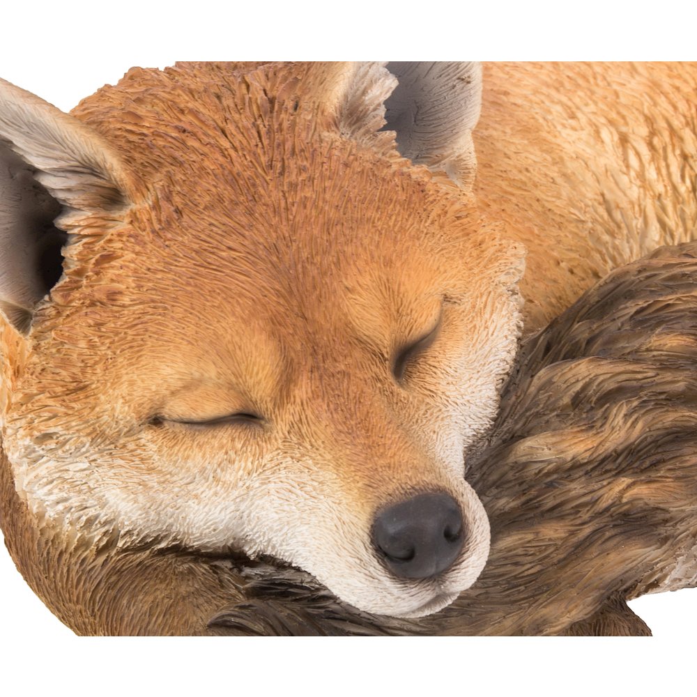 Fox Sleeping. Picture 5
