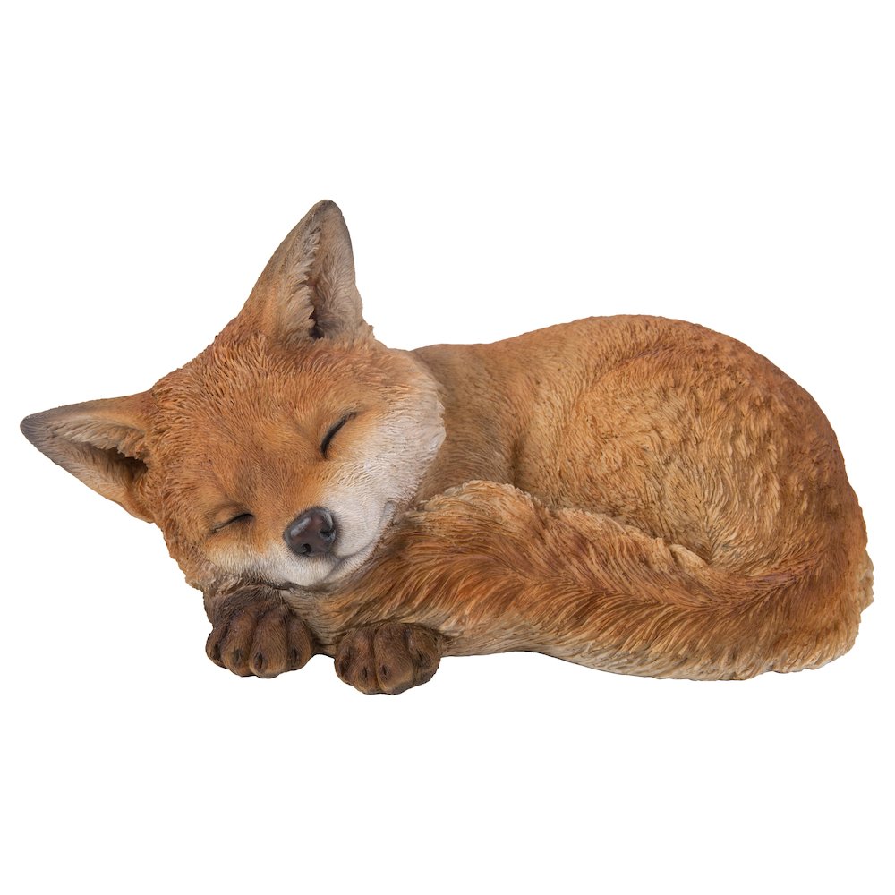 Fox Pup Sleeping. Picture 2