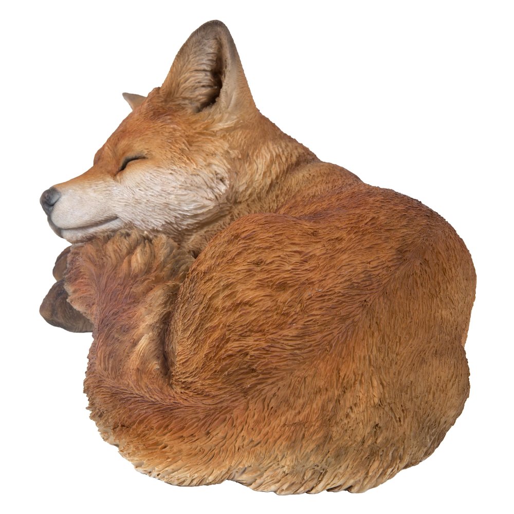 Fox Pup Sleeping. Picture 3