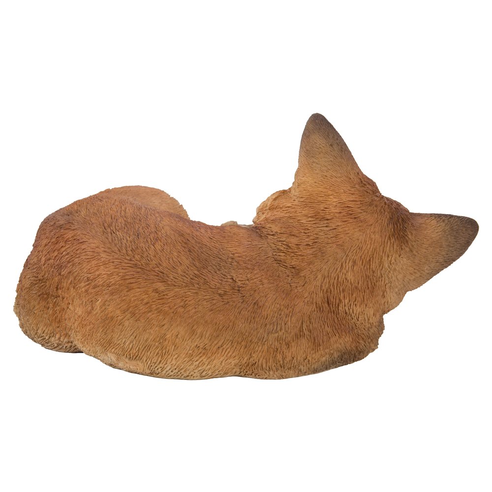 Fox Pup Sleeping. Picture 1