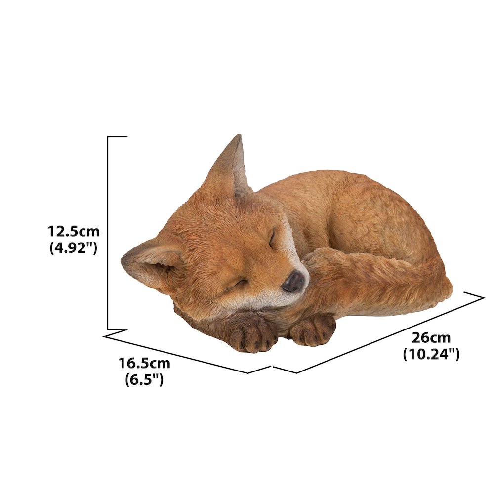 Fox Pup Sleeping. Picture 5