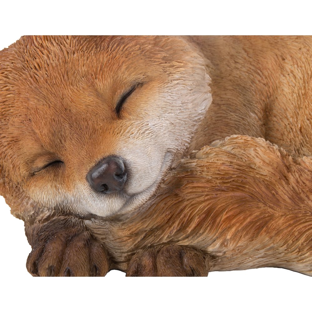 Fox Pup Sleeping. Picture 4