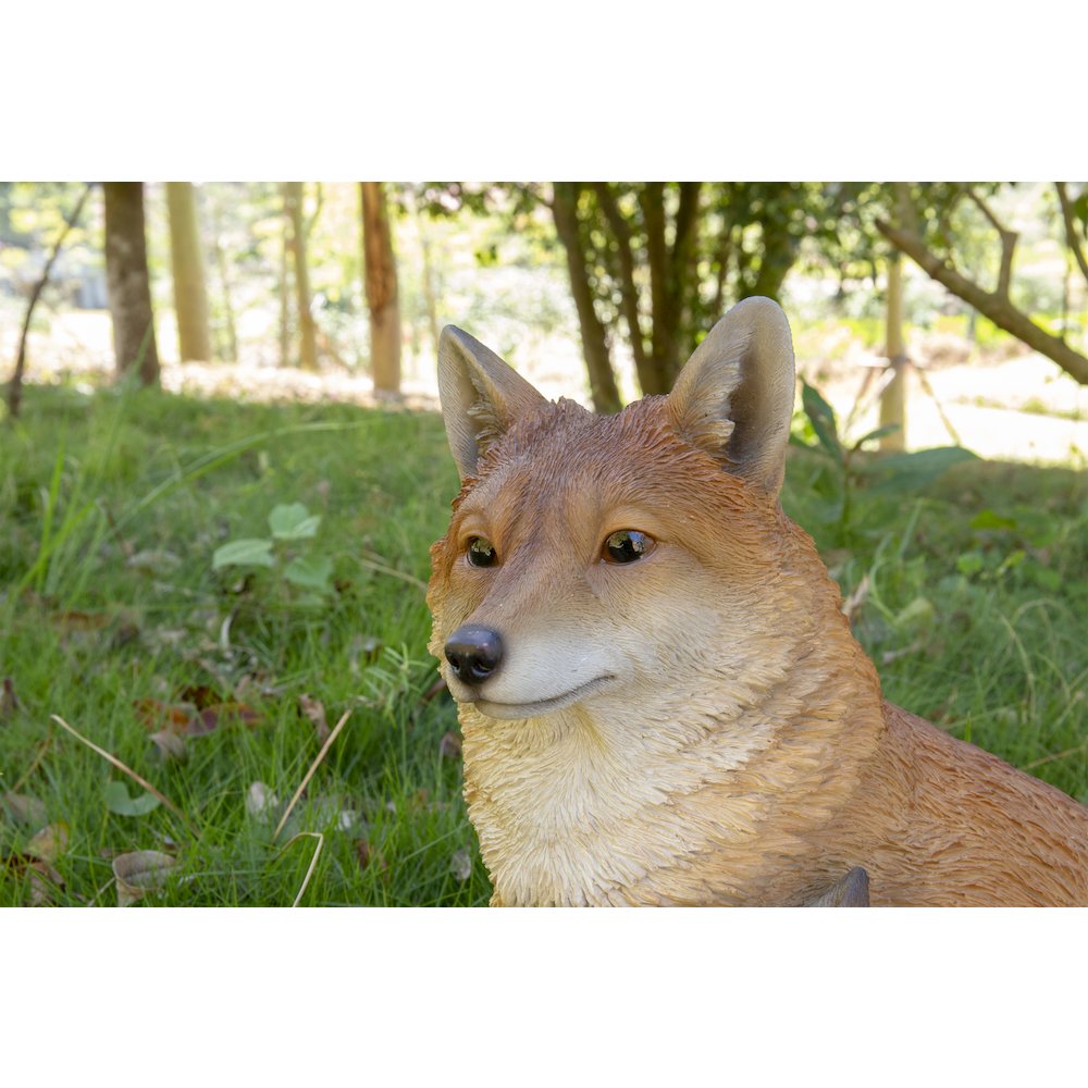Mother & Baby Fox Sitting. Picture 4