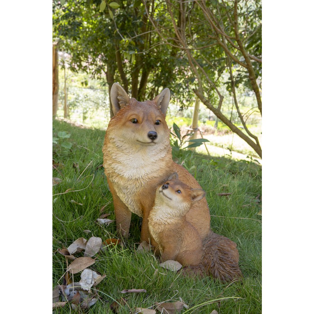 Mother & Baby Fox Sitting. Picture 6