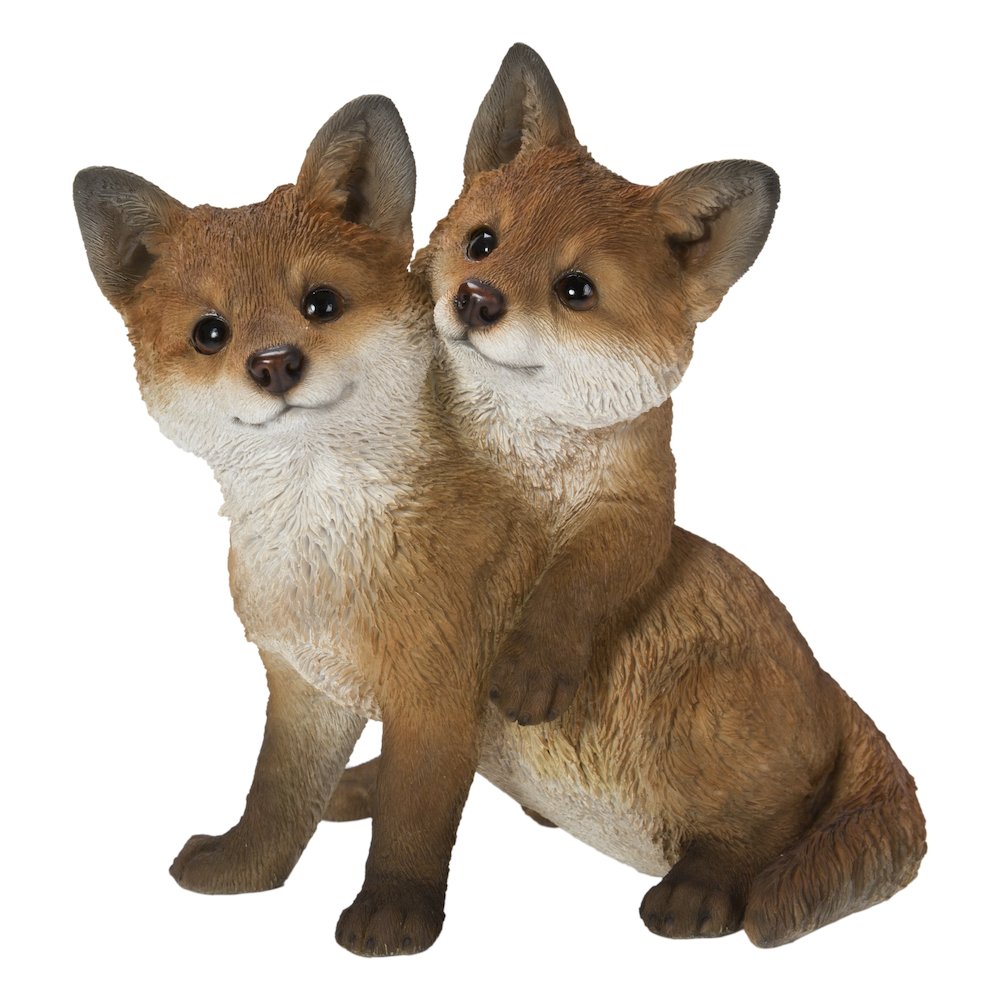 Fox Pups Hugging. Picture 2