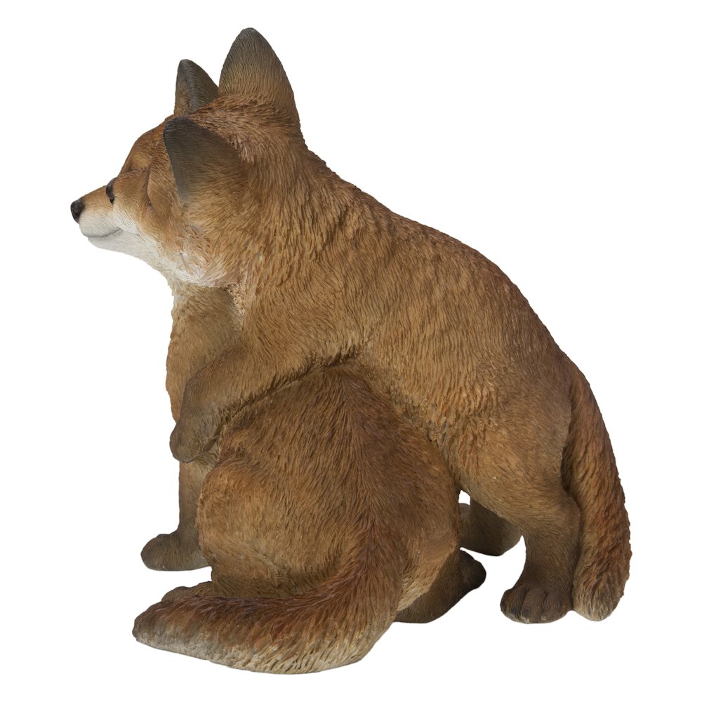 Fox Pups Hugging. Picture 3
