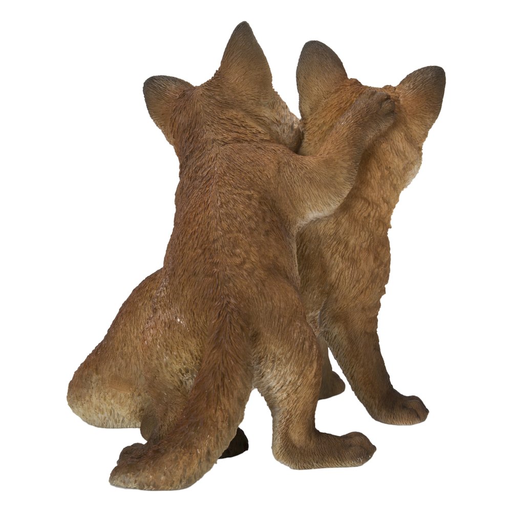 Fox Pups Hugging. Picture 4