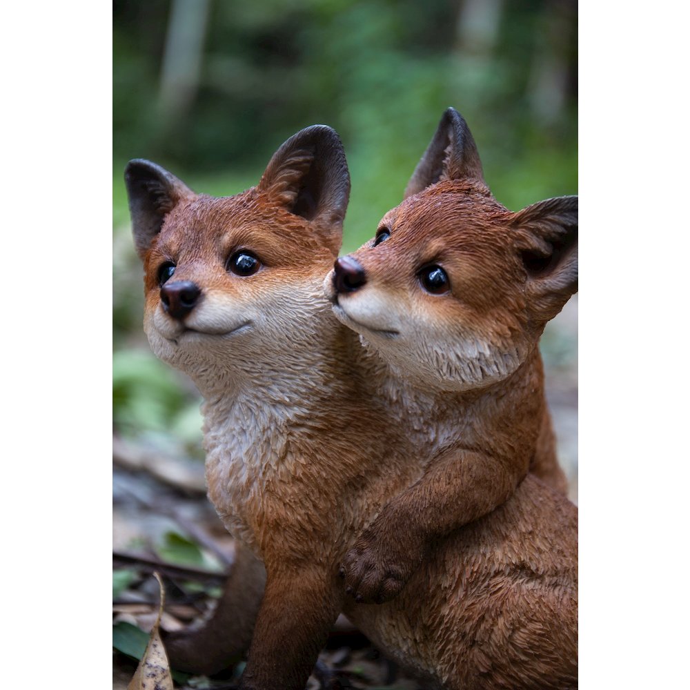 Fox Pups Hugging. Picture 6