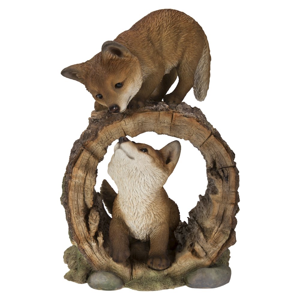 Fox Pups Playing. Picture 2