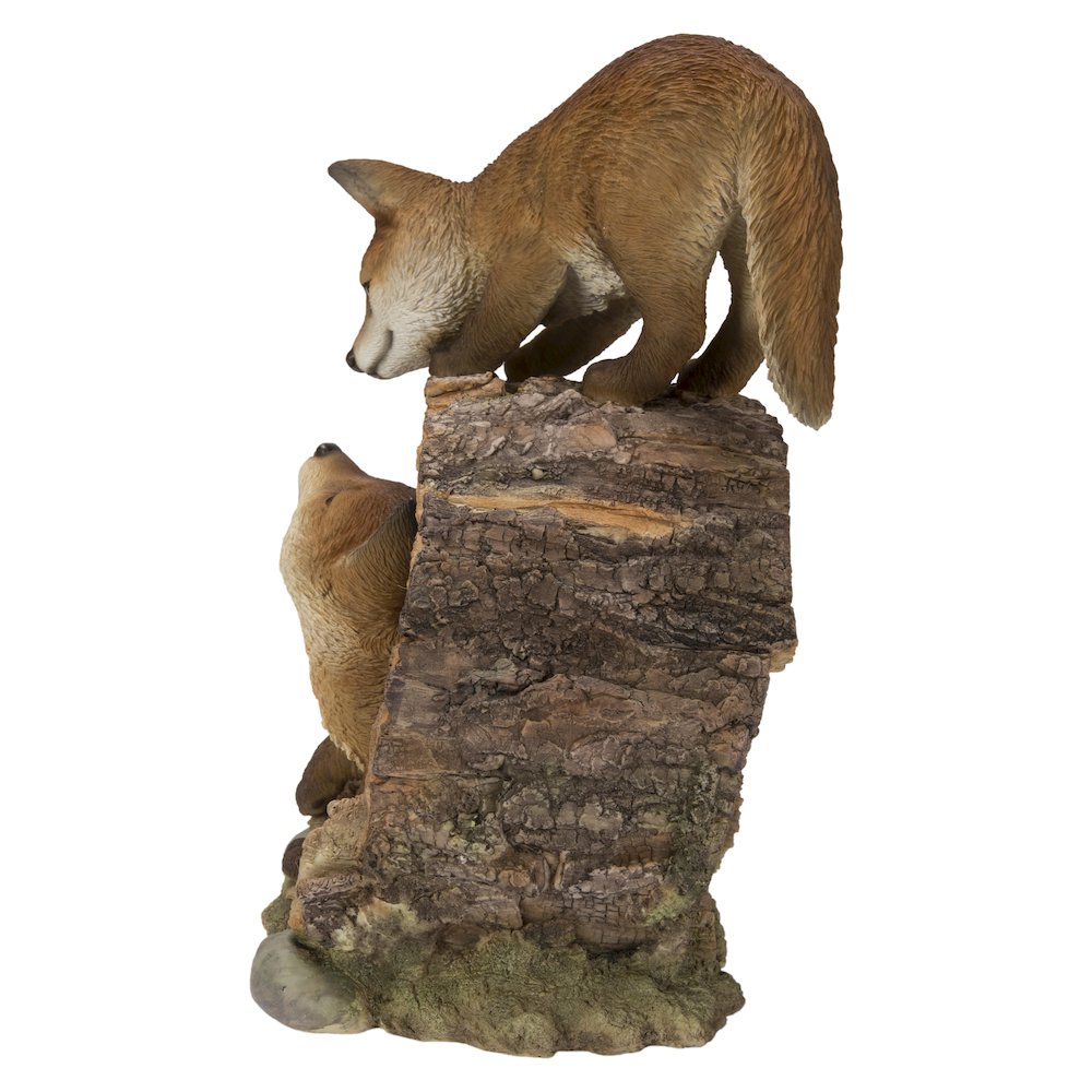 Fox Pups Playing. Picture 1