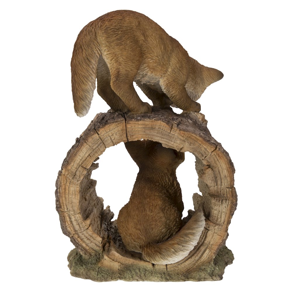 Fox Pups Playing. Picture 4