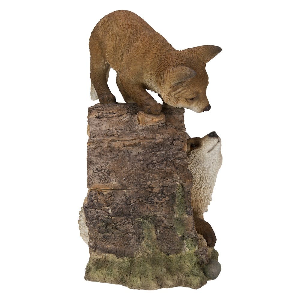 Fox Pups Playing. Picture 3
