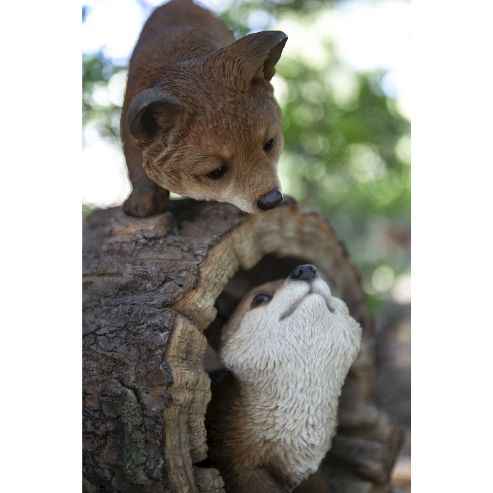 Fox Pups Playing. Picture 6