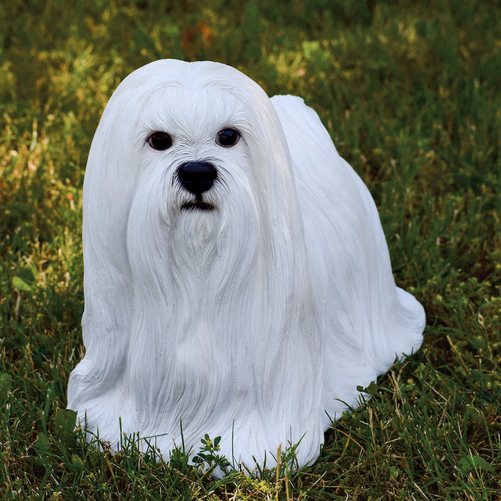 Maltese Statue. Picture 5