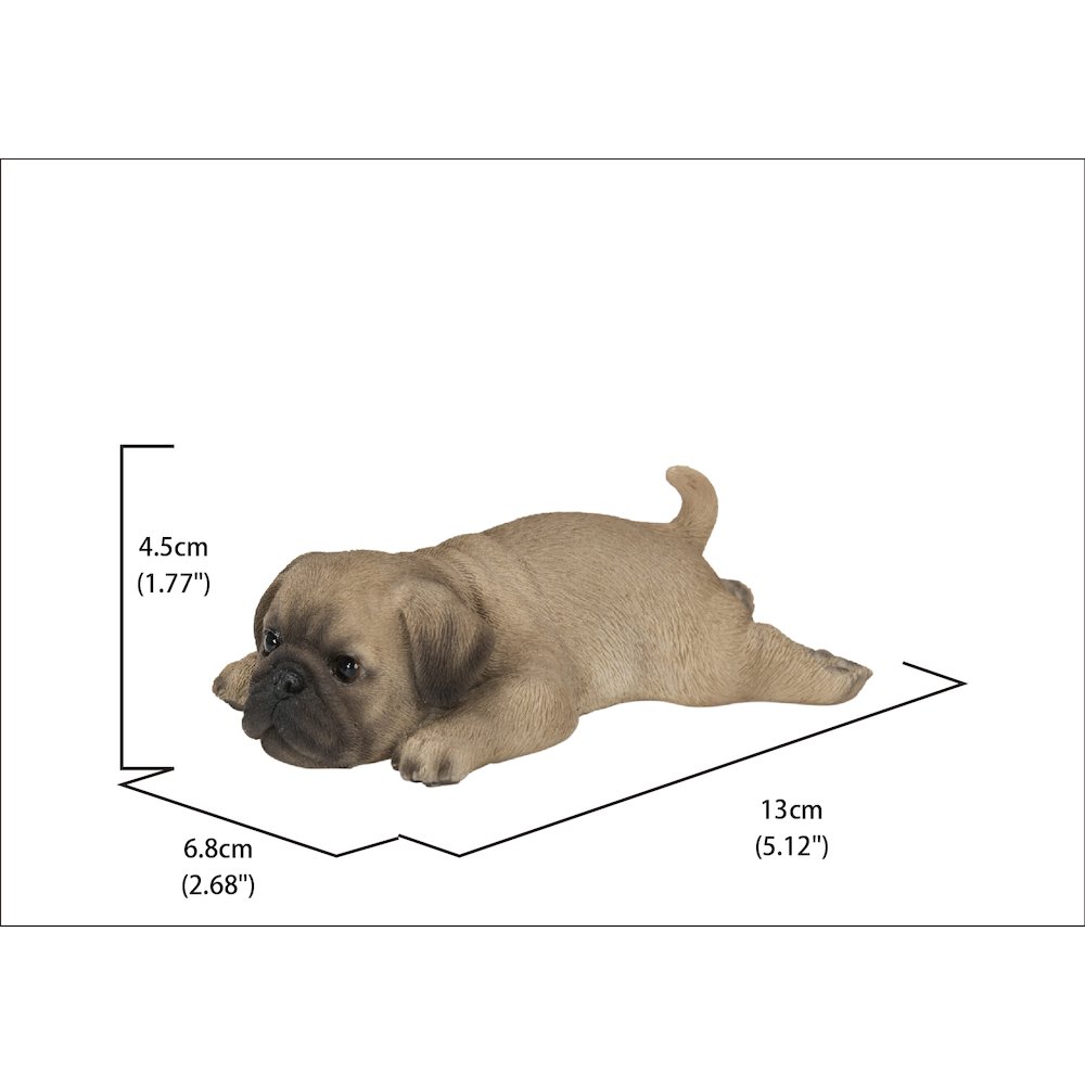 Pug Fridge Magnet. Picture 5