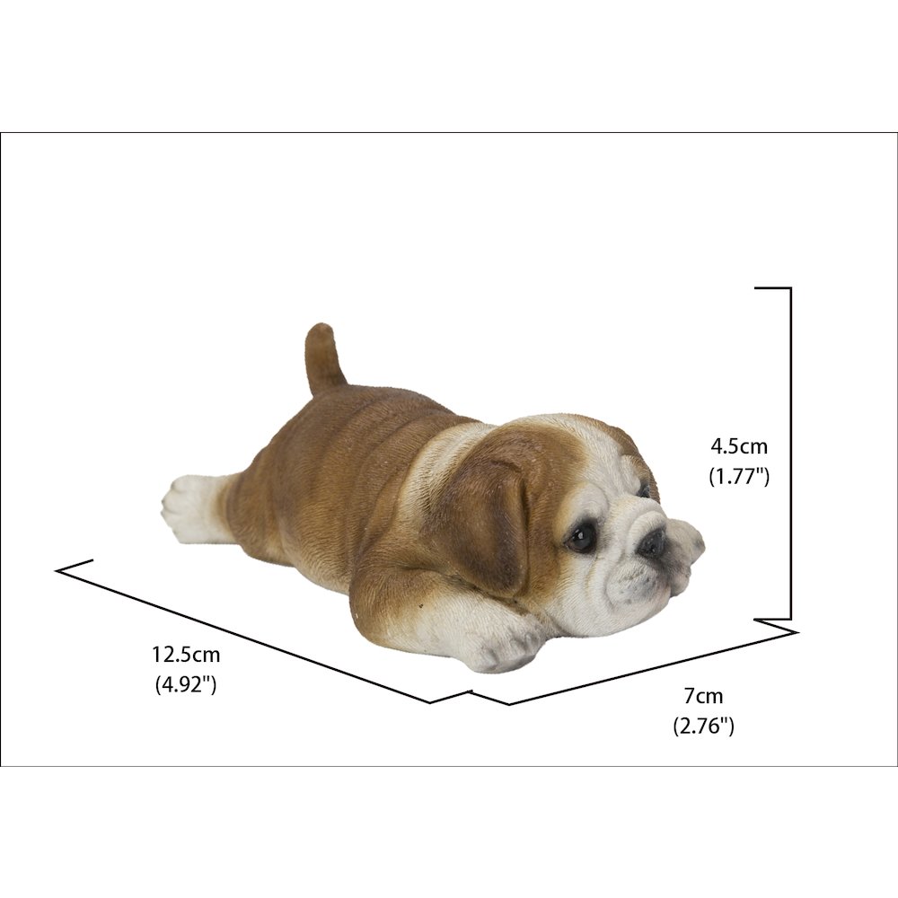 Bulldog Fridge Magnet. Picture 5