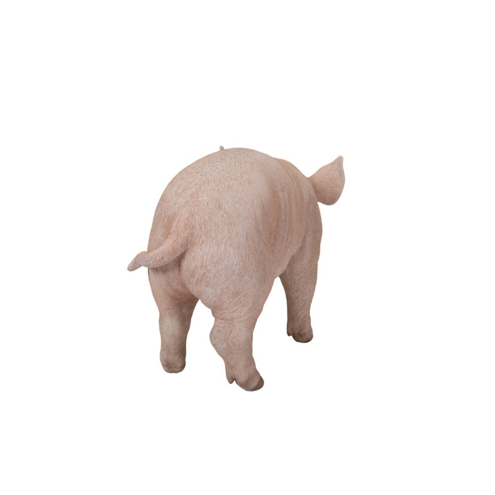 Standing Baby Pig. Picture 3