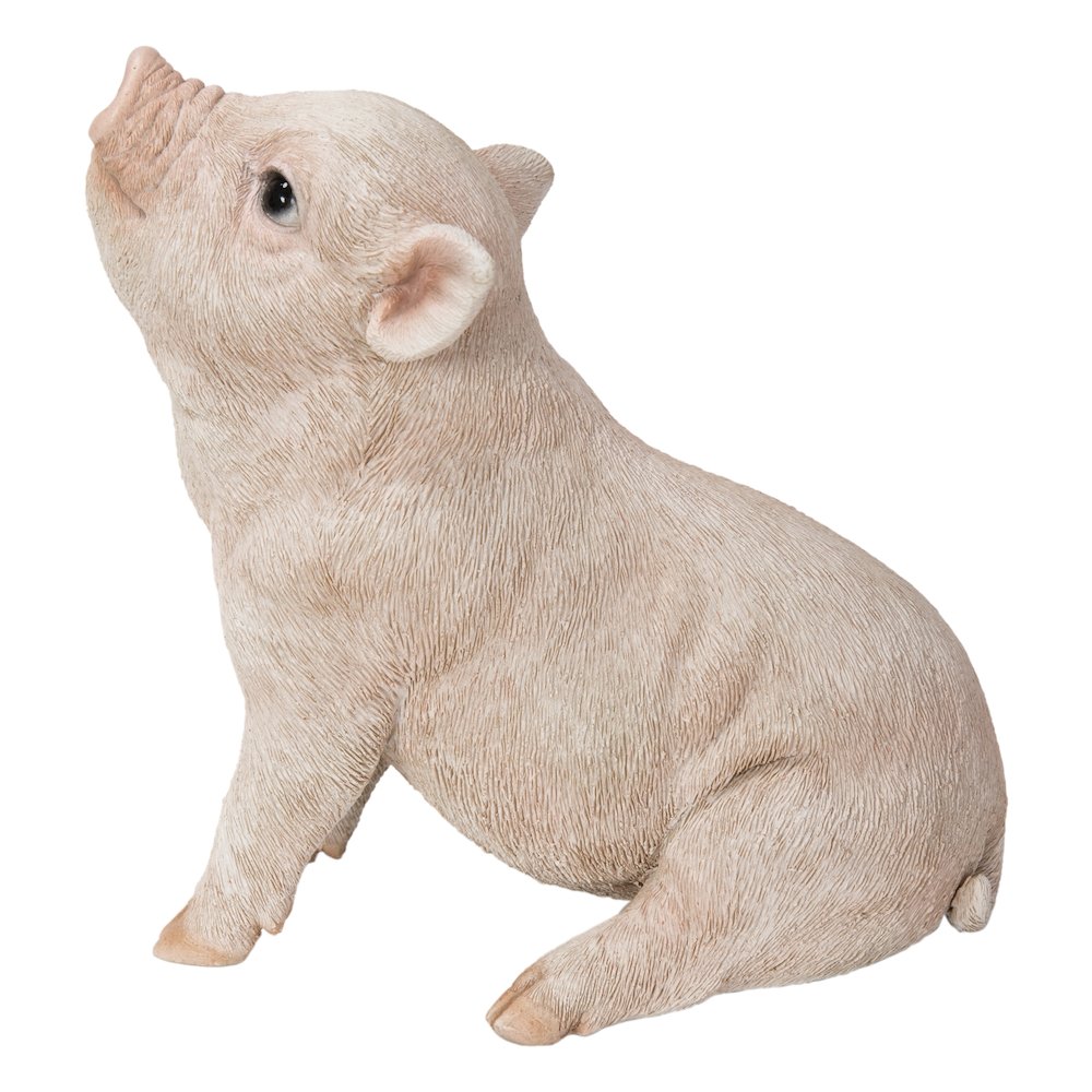 Baby Pig Sitting - Pink. Picture 1