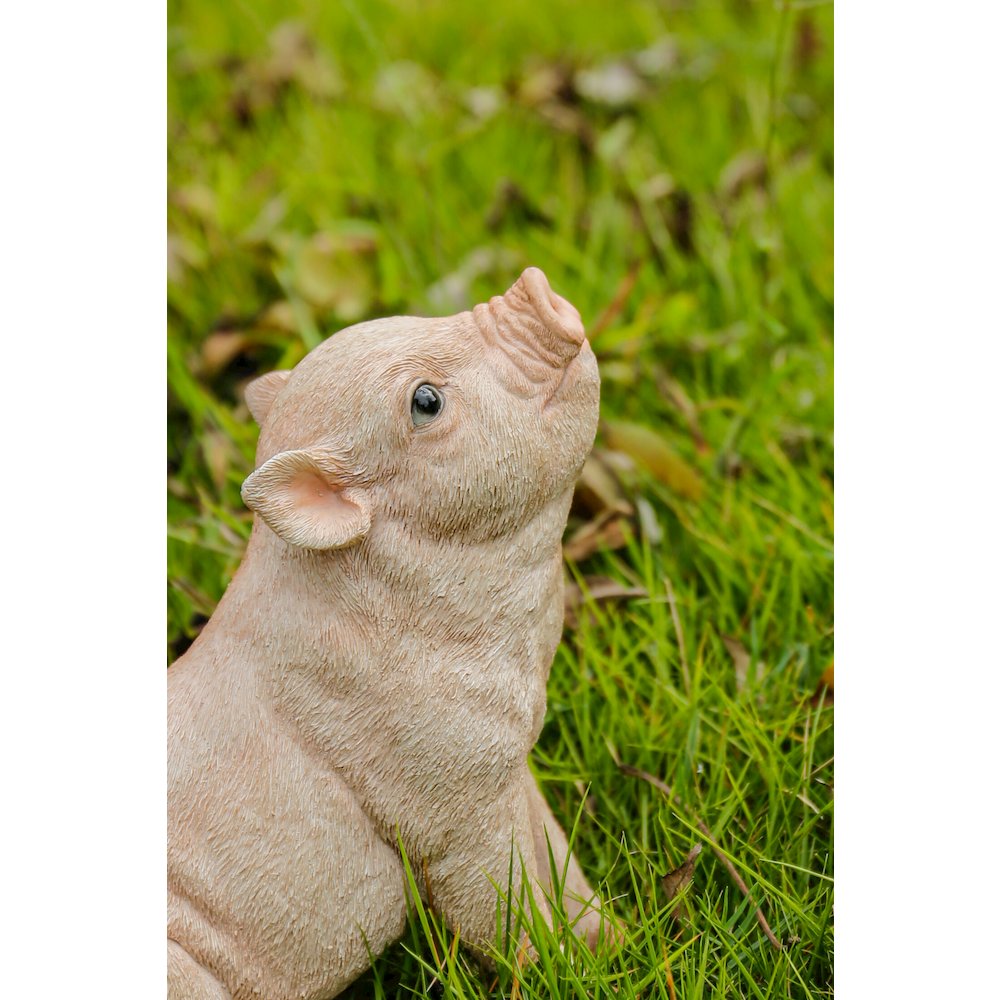 Baby Pig Sitting - Pink. Picture 6