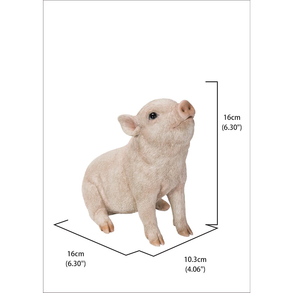 Baby Pig Sitting - Pink. Picture 5