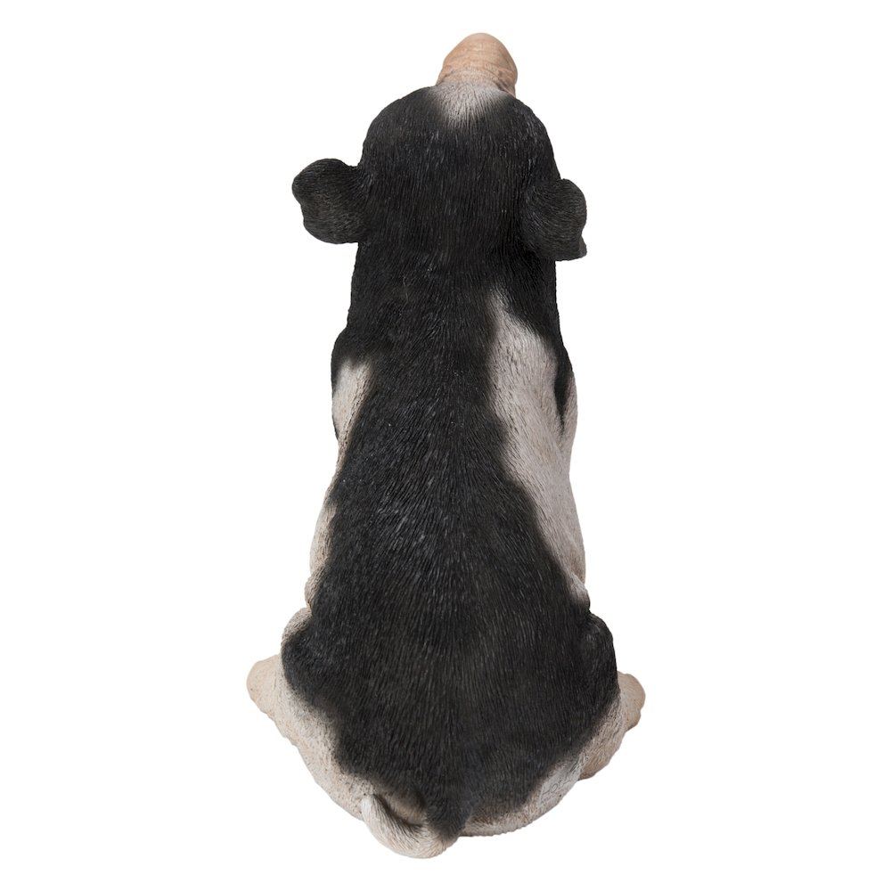 Baby Pig Sitting - Black And White. Picture 4