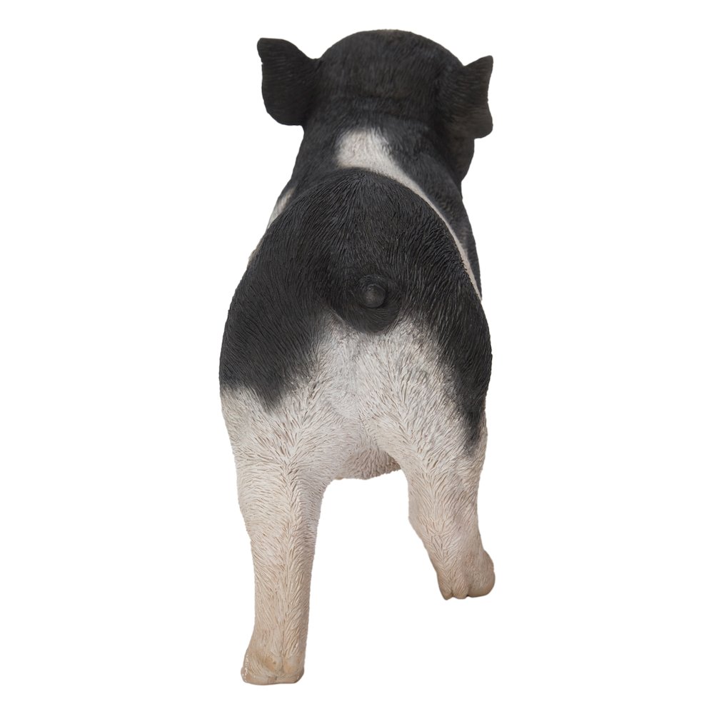 Baby Pig Standing - Black And White. Picture 4