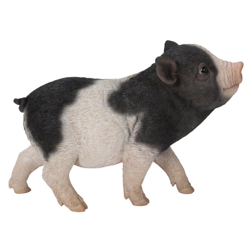 Baby Pig Standing - Black And White. Picture 1