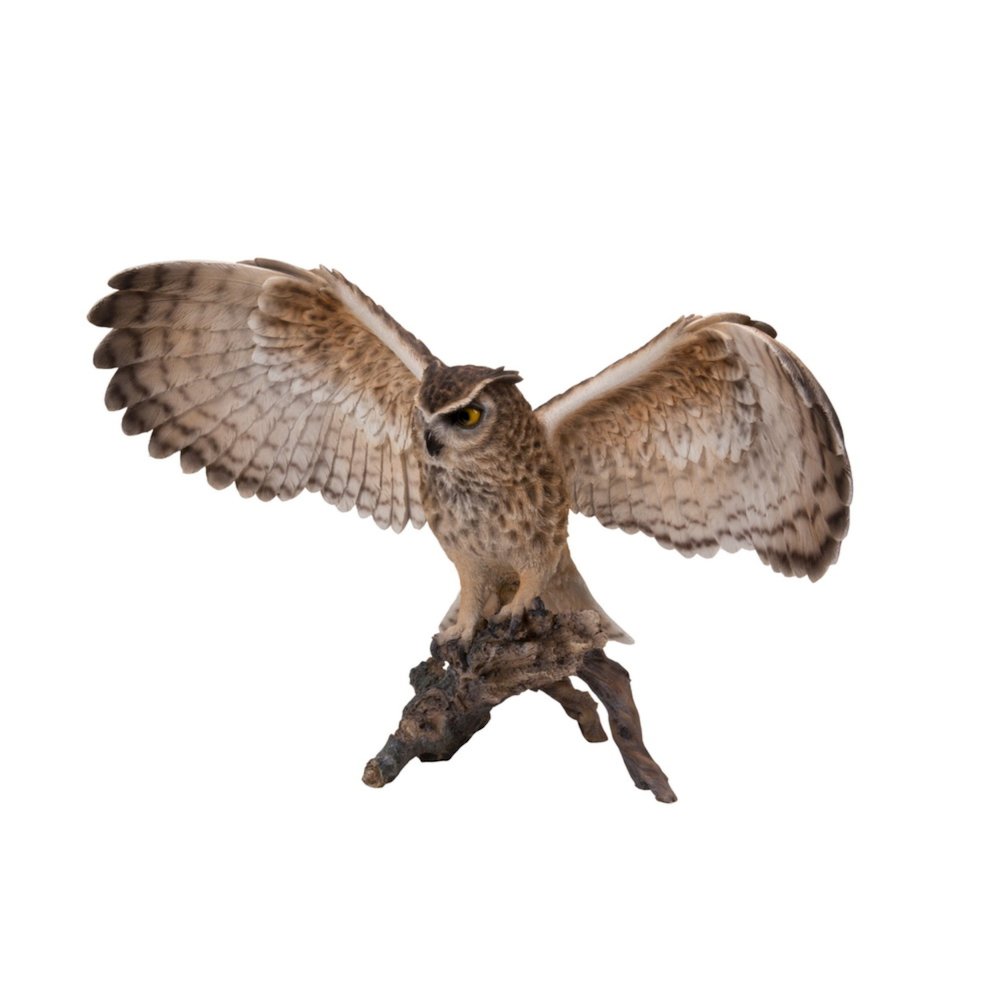 Eagle Owl On Branch W/Wings Out. Picture 6
