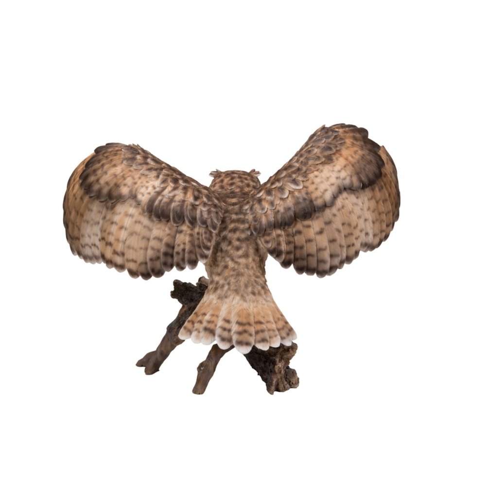 Eagle Owl On Branch W/Wings Out. Picture 4