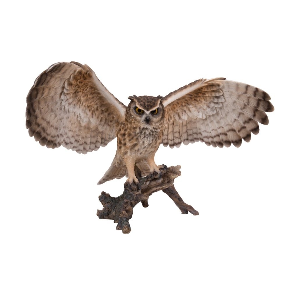 Eagle Owl On Branch W/Wings Out. Picture 2
