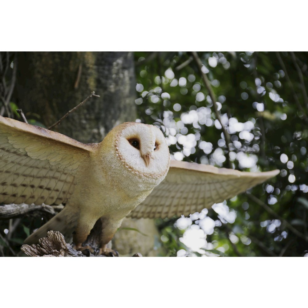 Barn Owl Flying Statue. Picture 8