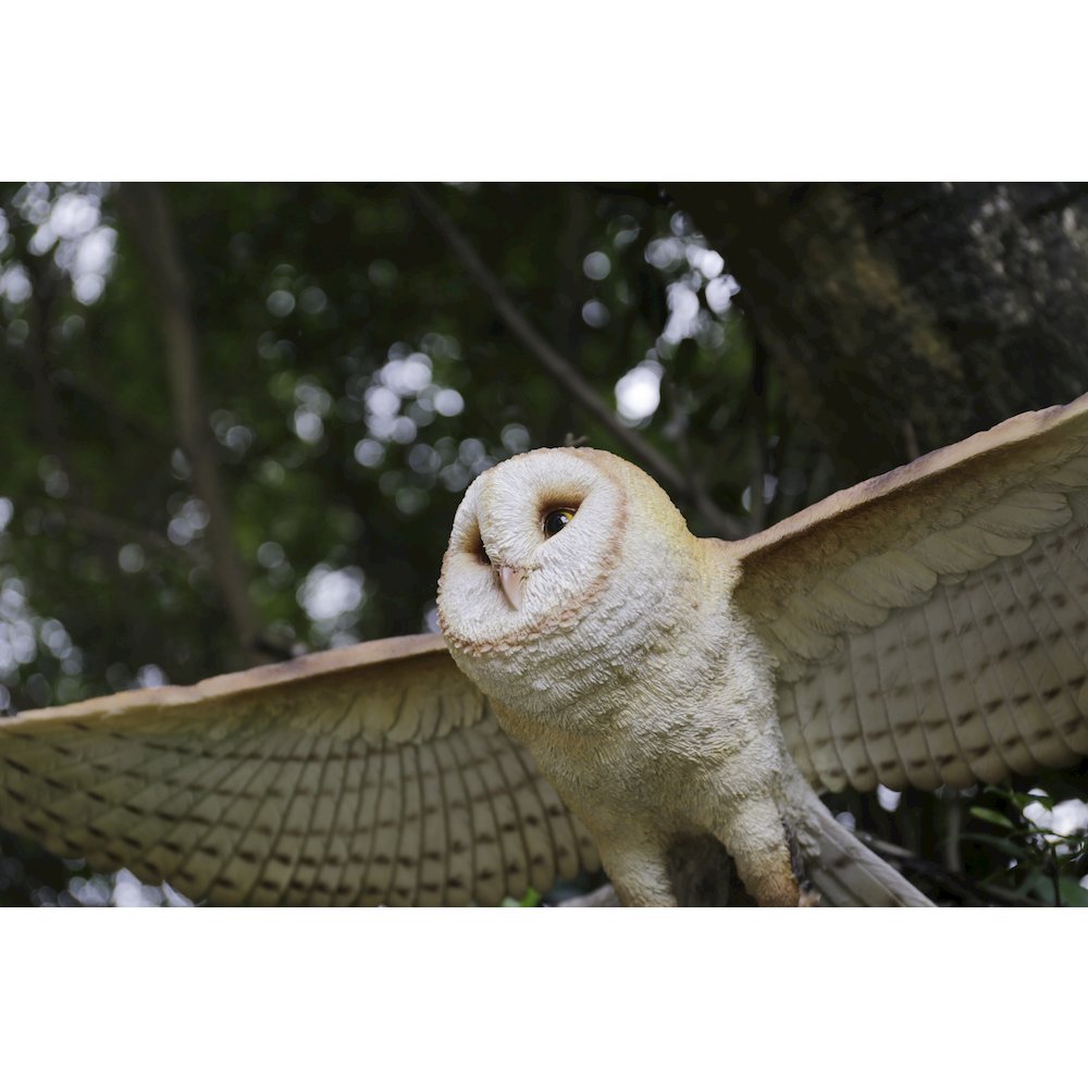 Barn Owl Flying Statue. Picture 6