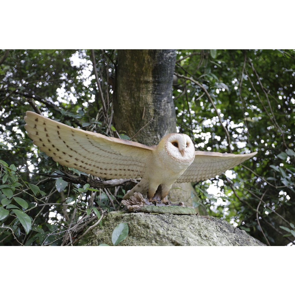 Barn Owl Flying Statue. Picture 7