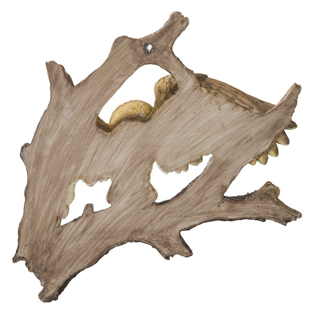 Flying Barn Owl Wall Plaque. Picture 3