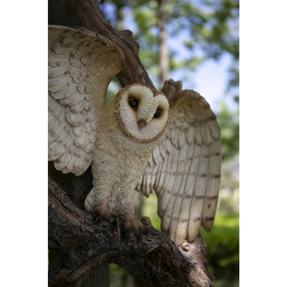Flying Barn Owl Wall Plaque. Picture 6