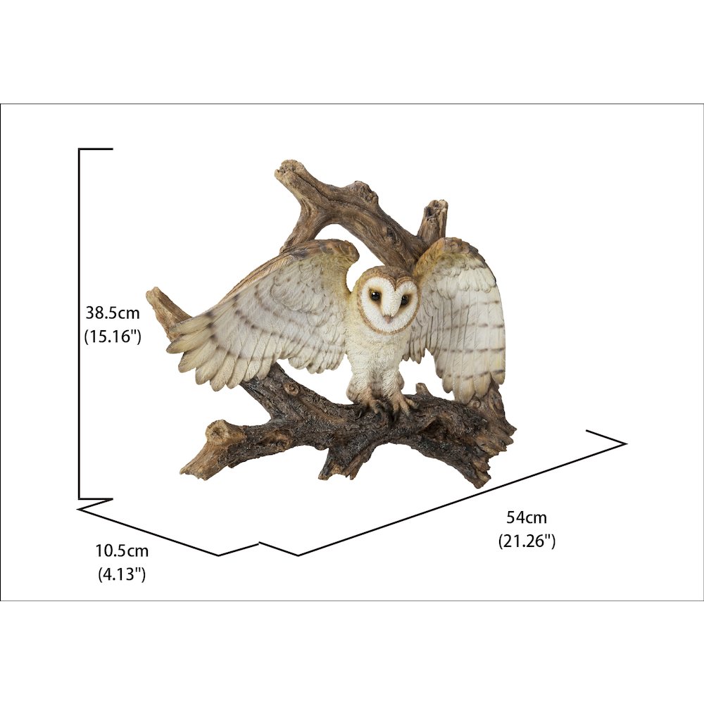 Flying Barn Owl Wall Plaque. Picture 5