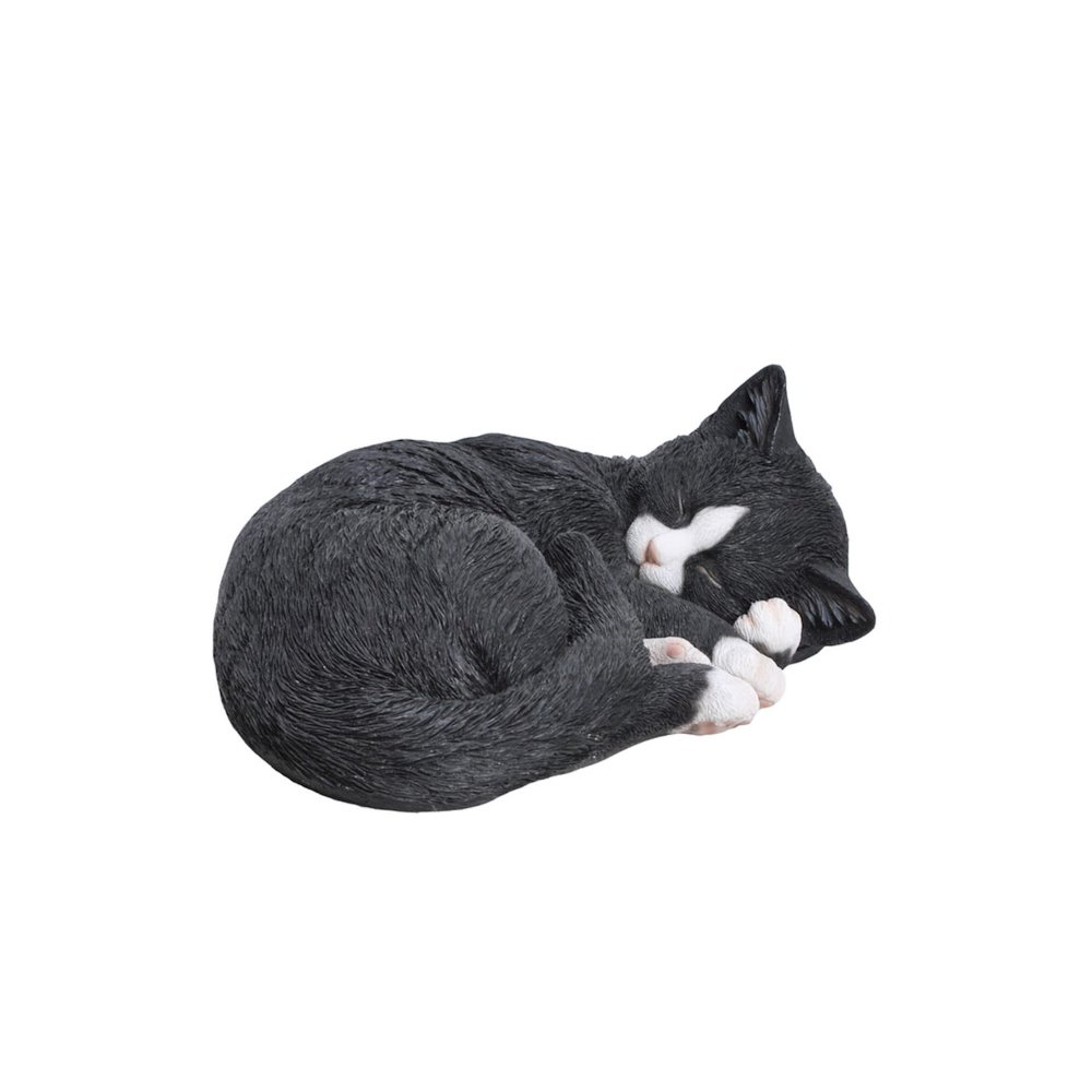 Black/White Cat Sleeping Lying Down. Picture 2
